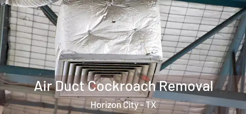  Air Duct Cockroach Removal Horizon City - TX