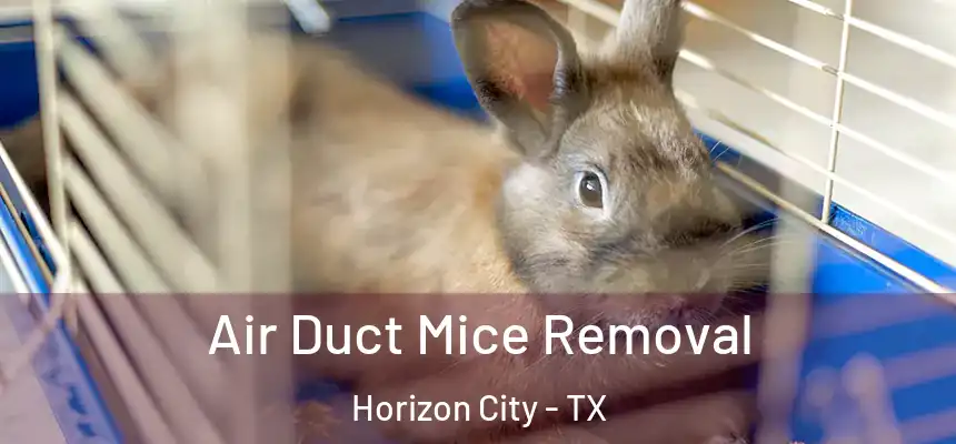 Air Duct Mice Removal Horizon City - TX