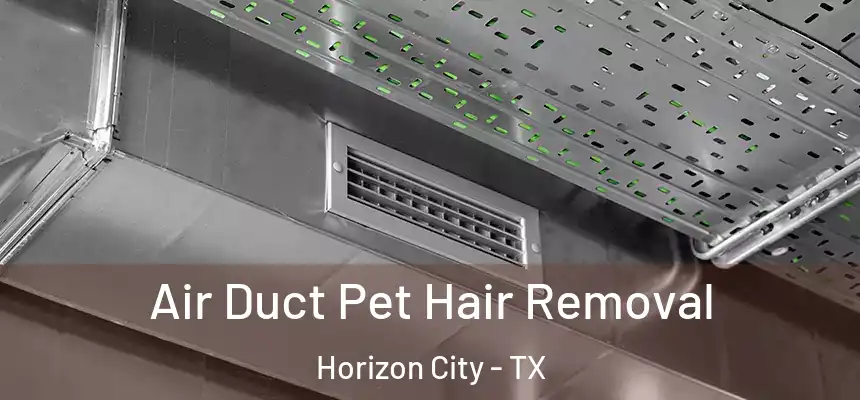 Air Duct Pet Hair Removal Horizon City - TX