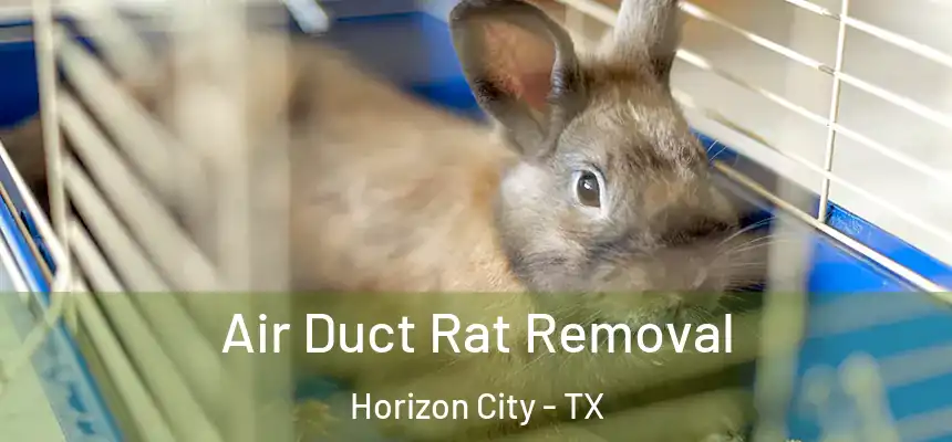  Air Duct Rat Removal Horizon City - TX
