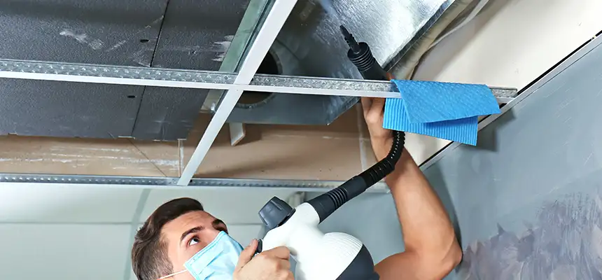 Our Air Duct Rodent Removal Services in Horizon City, TX