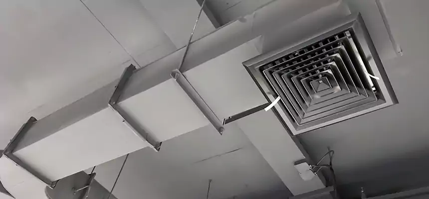 Restorative Allergy Relief Vent Cleaning – Coil, Blower & Housing Detail in Horizon City