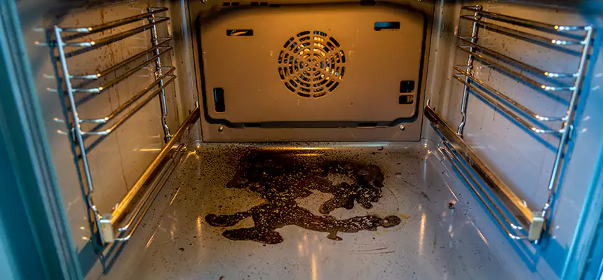 Our Dryer Vent Mold Cleaning Services in Horizon City, TX