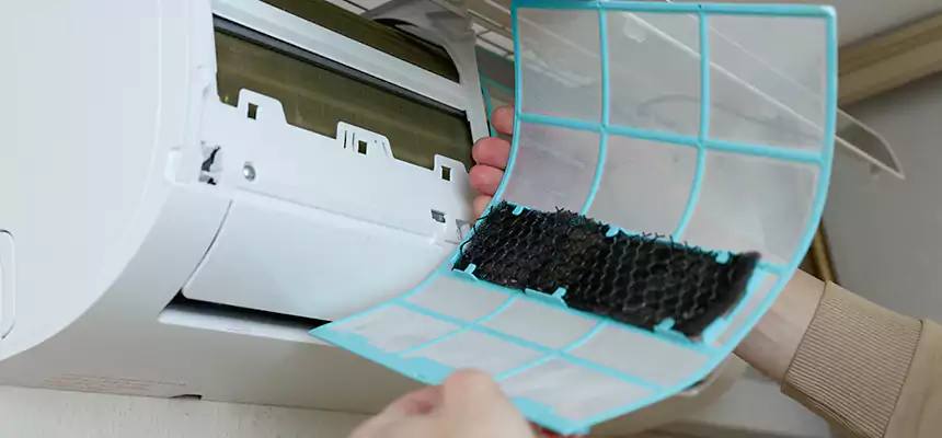 Gentle Ductwork Odor-Control Pet Dander Duct Cleaning in Horizon City, TX