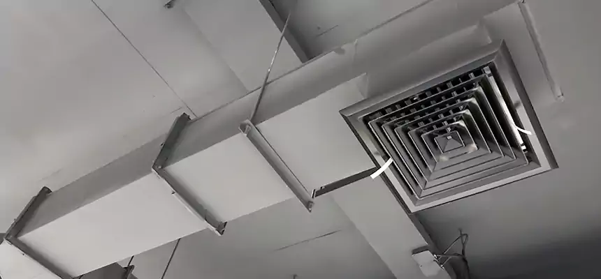 Our Rodent Droppings In Vents Services in Horizon City, TX