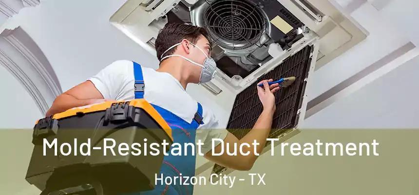  Mold-Resistant Duct Treatment Horizon City - TX