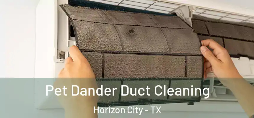  Pet Dander Duct Cleaning Horizon City - TX
