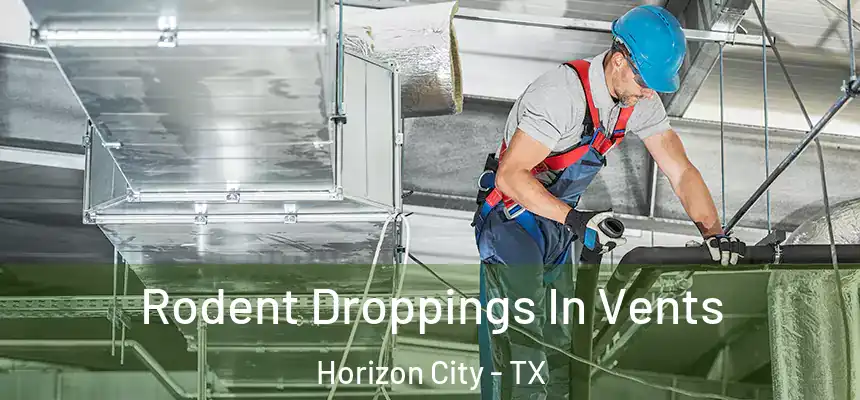  Rodent Droppings In Vents Horizon City - TX