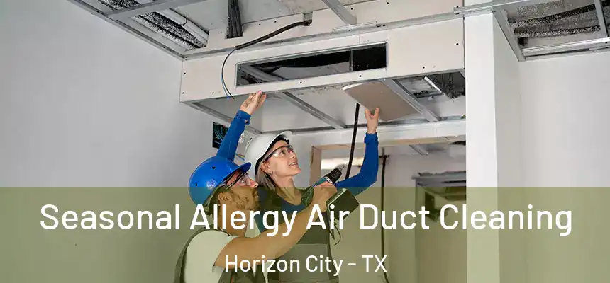 Seasonal Allergy Air Duct Cleaning Horizon City - TX