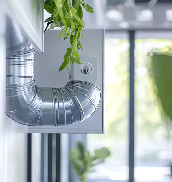 Professional Eco-Friendly Duct Cleaning Services in Horizon City, TX