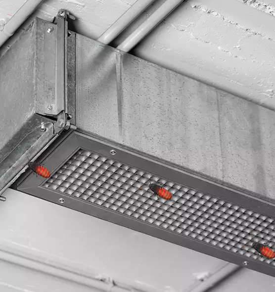 Affordable Insect Removal from Air Ducts in Horizon City, TX