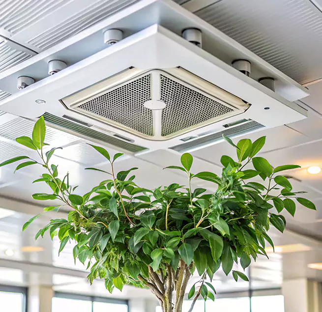 Why Homeowners & Businesses Trust Us in Horizon City, TX?