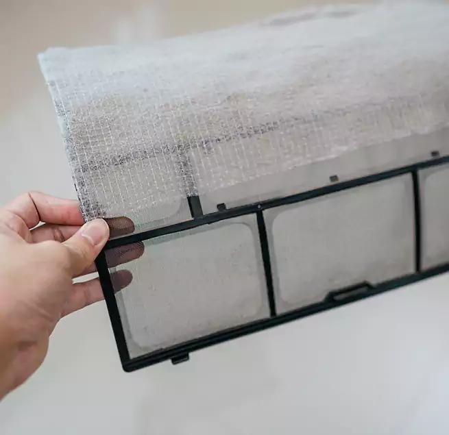 Why Homeowners & Businesses Trust Us in Horizon City, TX?