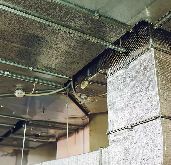 Why Homeowners & Businesses Trust Us in Horizon City, TX?